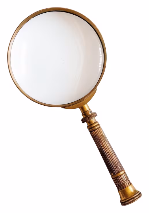 Audit investigation icon representing proven results